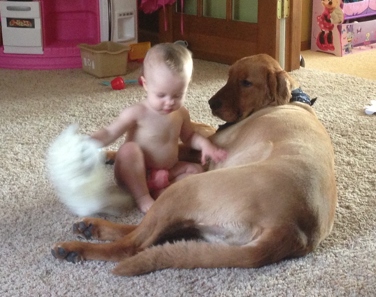 People & Pet Tagging | Photo Identification Service